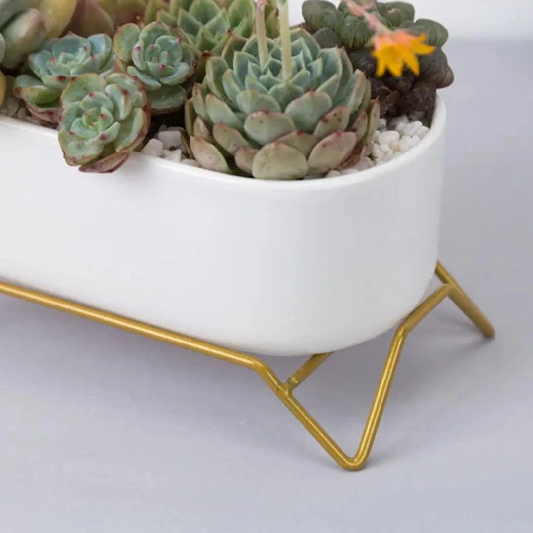 Small White Ceramic Succulent Planter with Gold Metal Stand