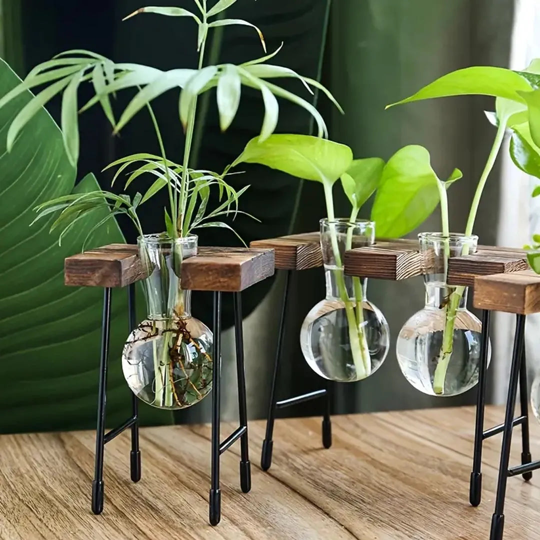 Modern Glass Propagation Vase Set with Wooden Stand