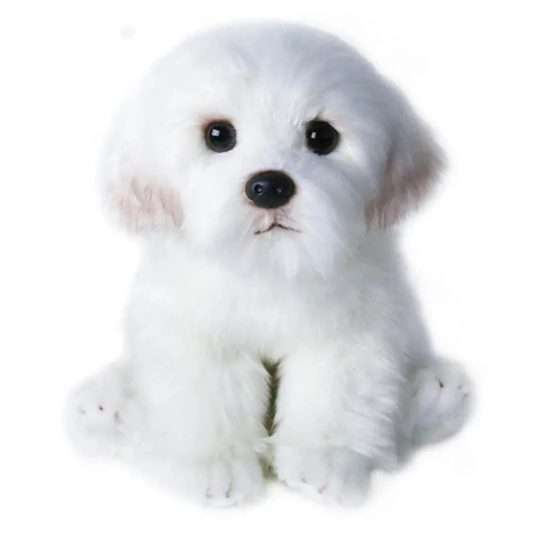 Maltese Stuffed Dog Dolls Plush Toy - Cute & Realistic