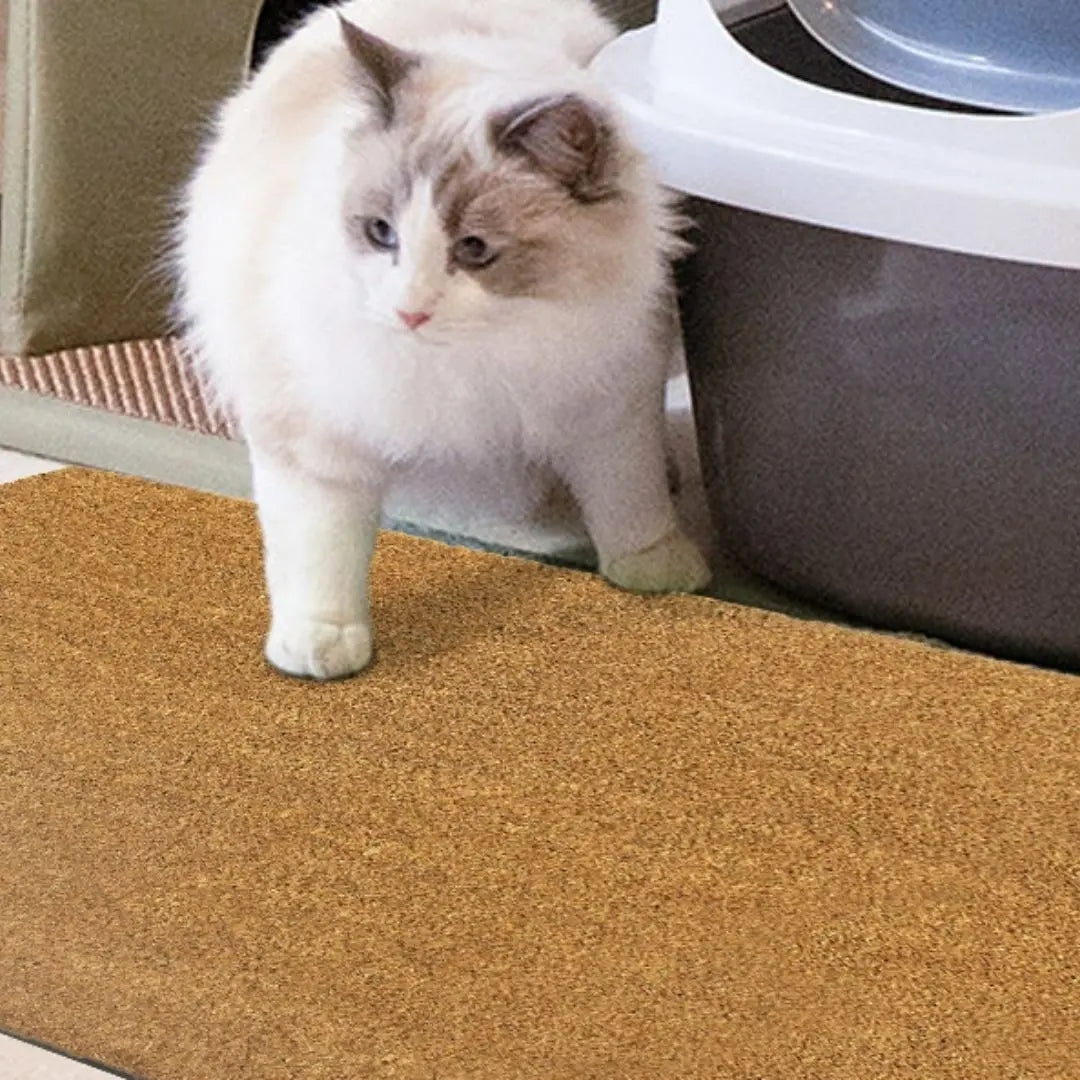 Celene Thick Coir Bristle Door Mat - Non-Slip Rubber Backing for Outdoor and Indoor Entrances