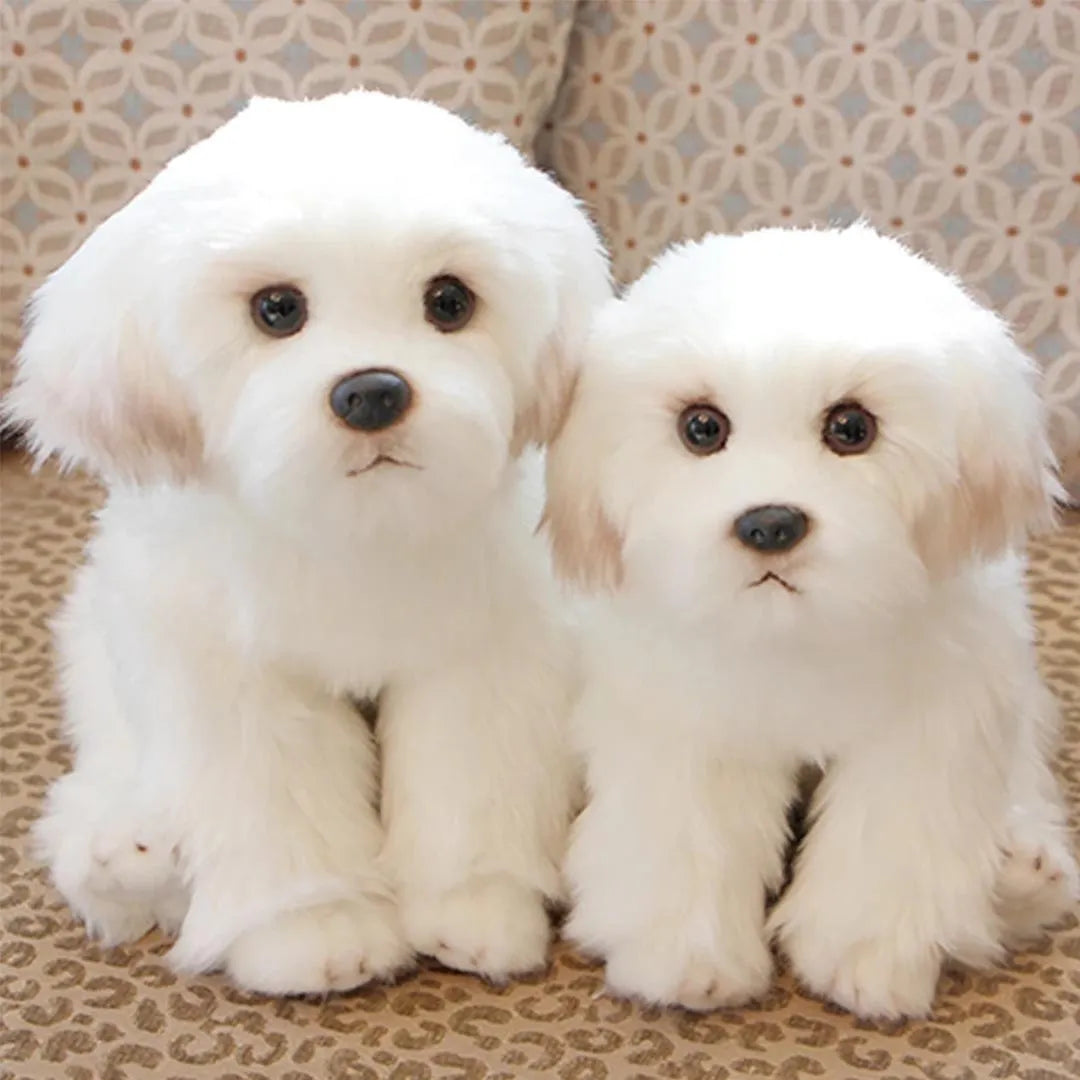 Maltese Stuffed Dog Dolls Plush Toy - Cute & Realistic