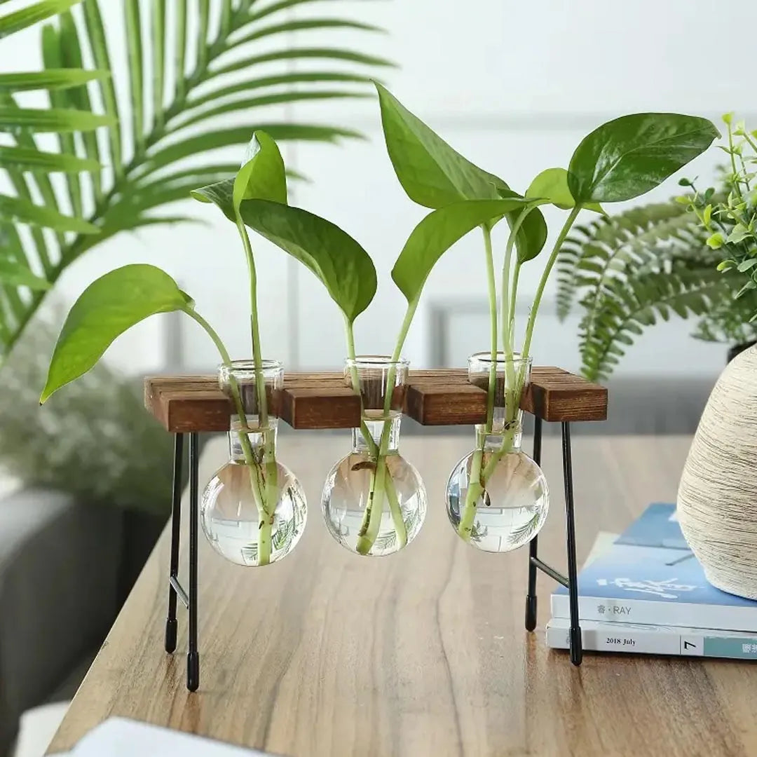 Modern Glass Propagation Vase Set with Wooden Stand