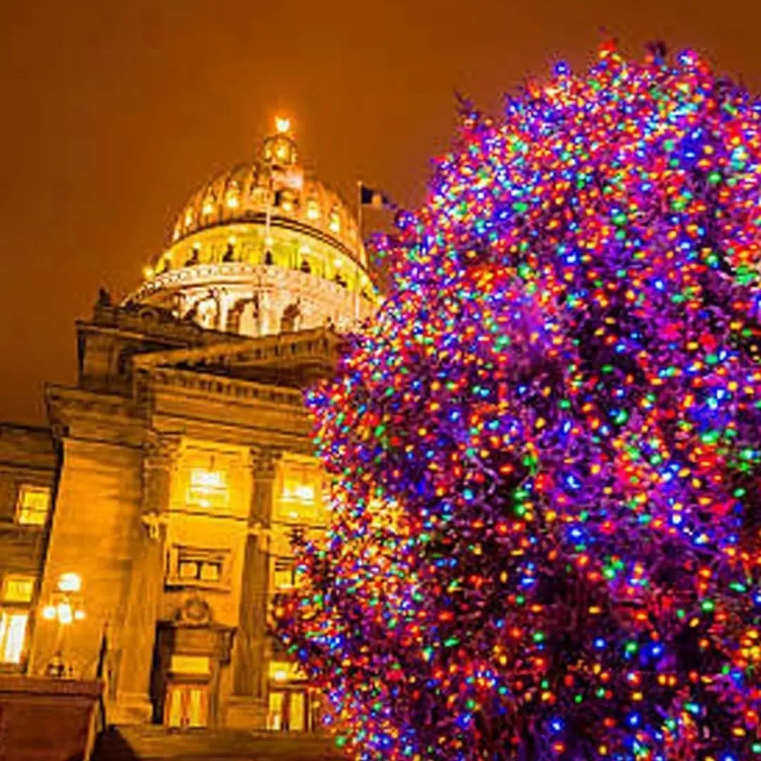 Celora Solar Fairy Lights - Outdoor Waterproof String Lights