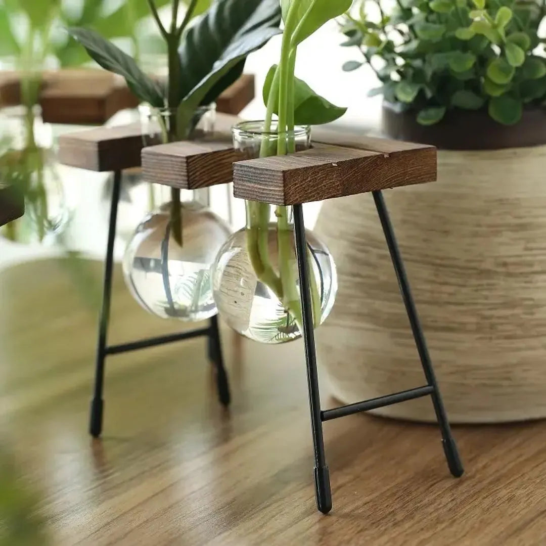Modern Glass Propagation Vase Set with Wooden Stand