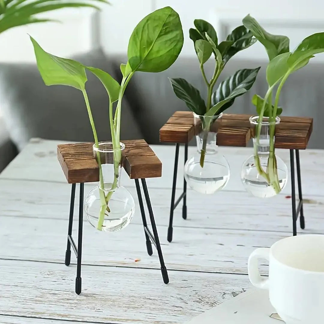 Modern Glass Propagation Vase Set with Wooden Stand