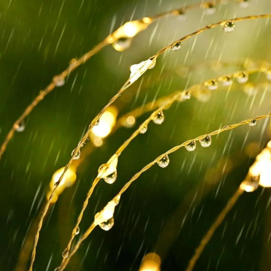 Lumora Starburst Solar Lights - Decorative Waterproof LED Garden Firework Lamps