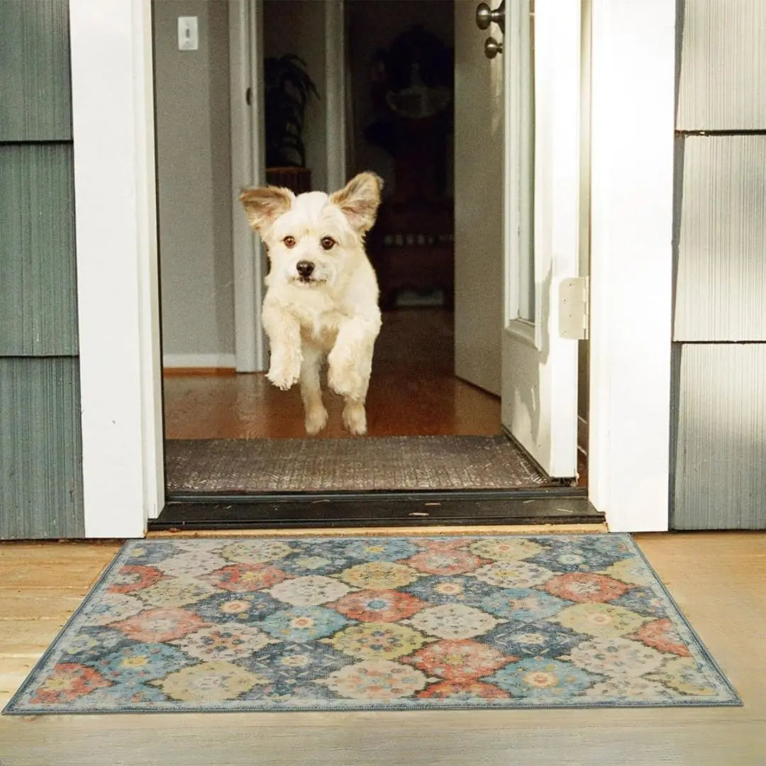 Trellis Haven Indoor-Outdoor Door Mat - Washable Non-Slip Polyester Entrance Rug with Raised Pattern