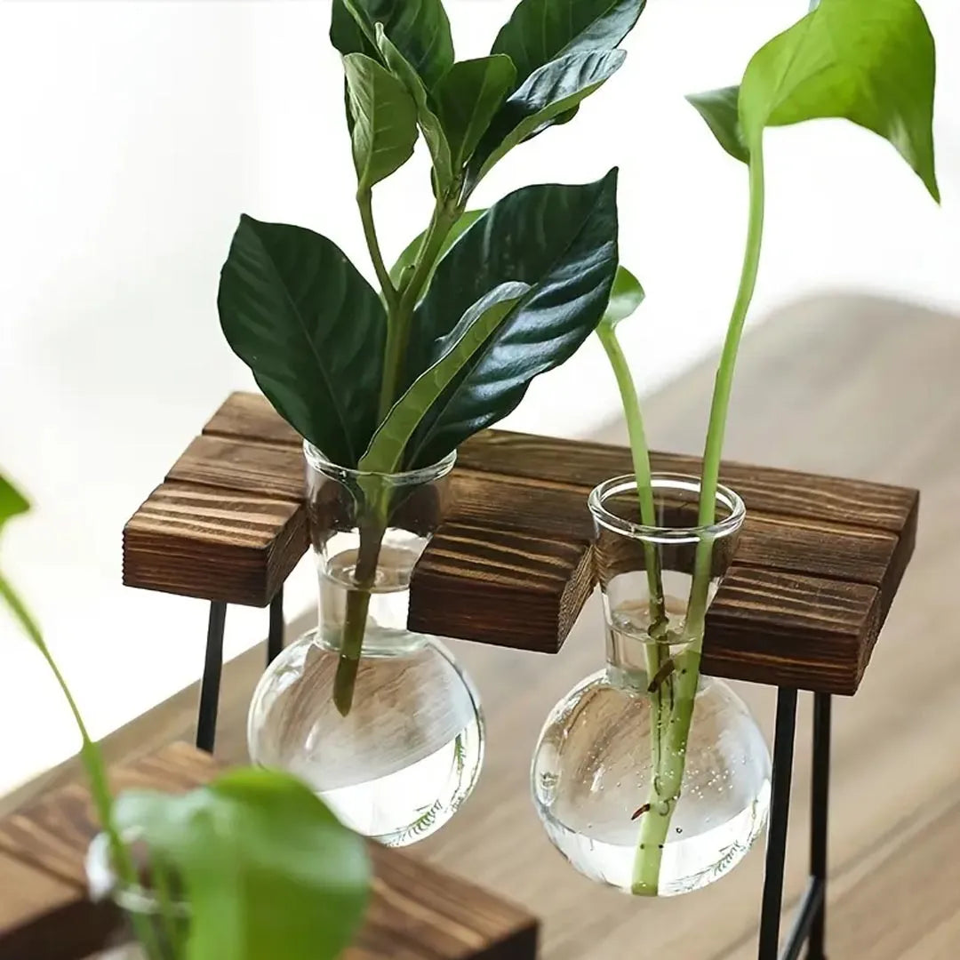 Modern Glass Propagation Vase Set with Wooden Stand