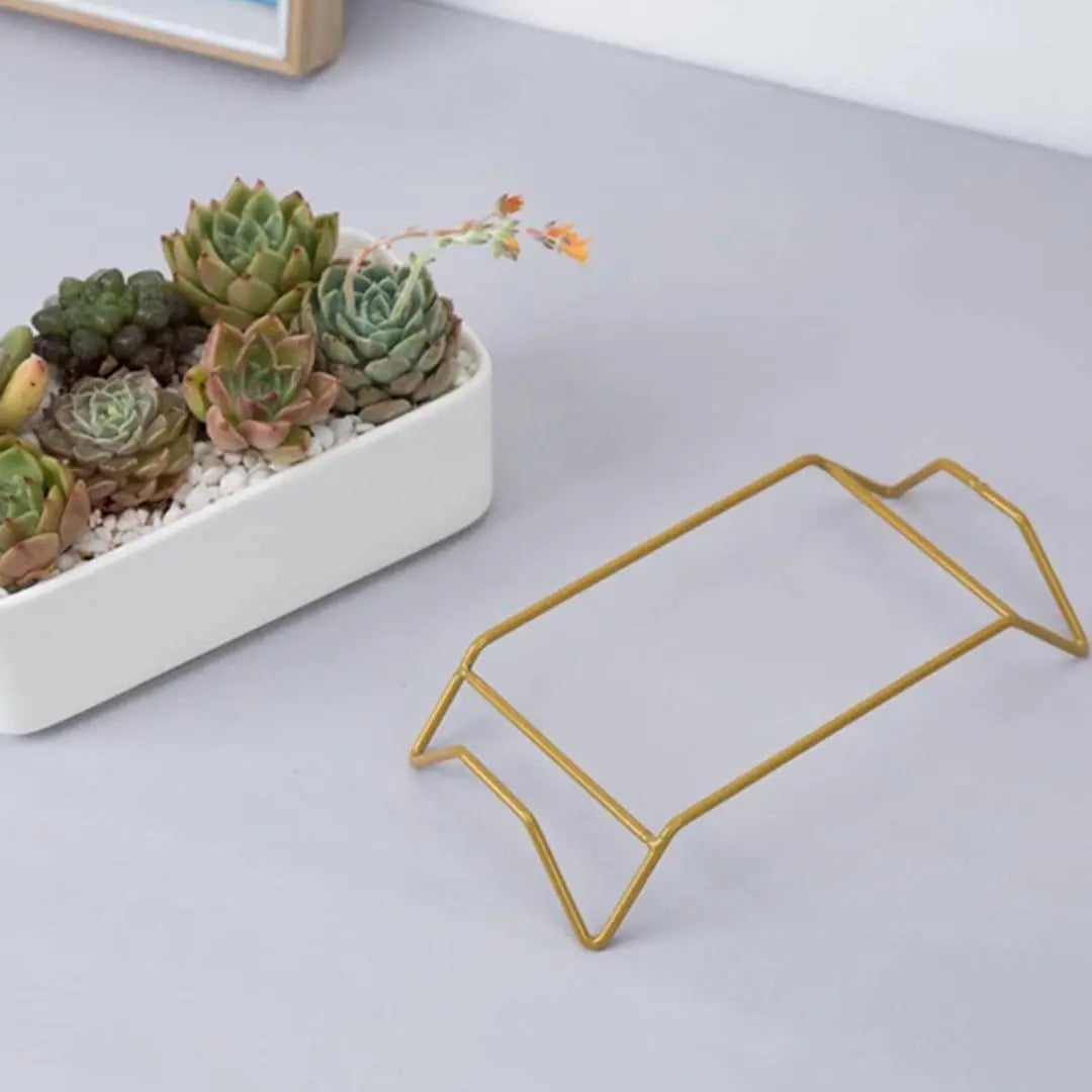 Small White Ceramic Succulent Planter with Gold Metal Stand