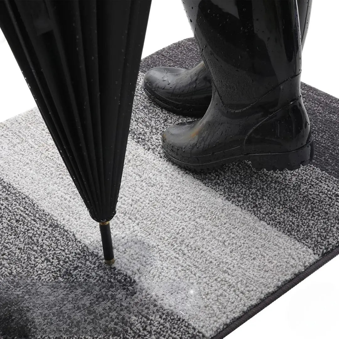 HomaxySoft Washable Indoor Door Mat - Super Absorbent Non-Slip Rug