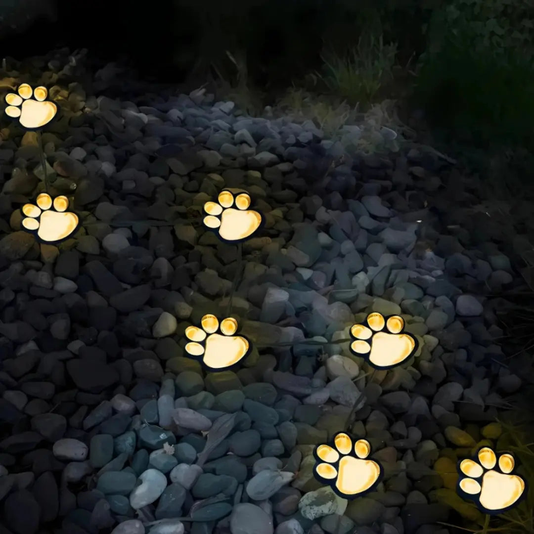 PawGlow Solar Light