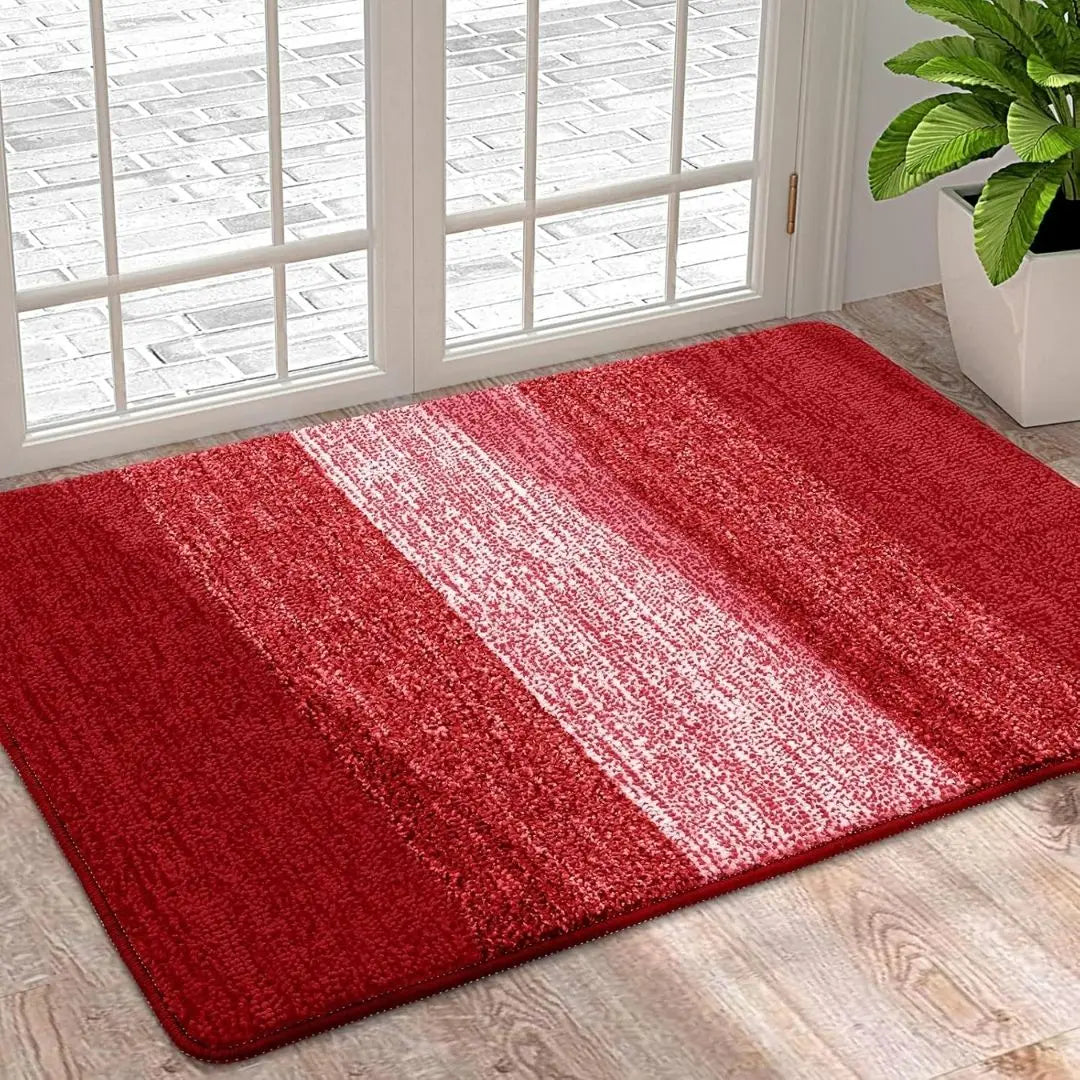 HomaxySoft Washable Indoor Door Mat - Super Absorbent Non-Slip Rug