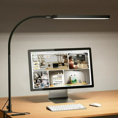 LED Desk Lamp