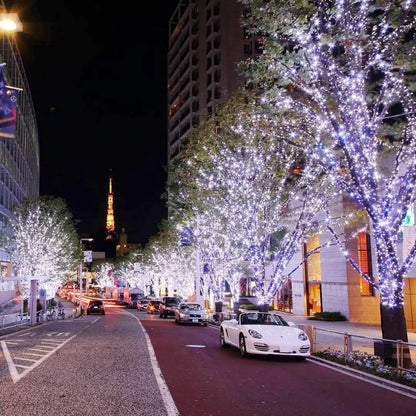 Celora Solar Fairy Lights - Outdoor Waterproof String Lights