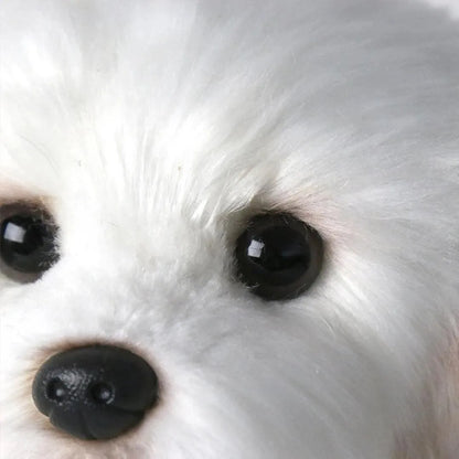 Maltese Stuffed Dog Dolls Plush Toy - Cute & Realistic