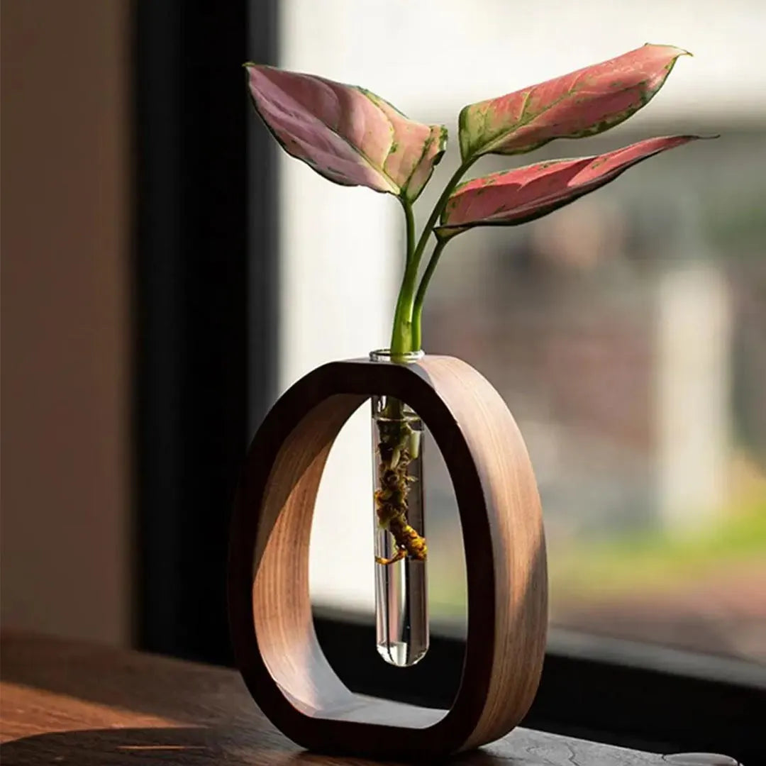 Hydroponic Test Tube Vase with Wooden Stand