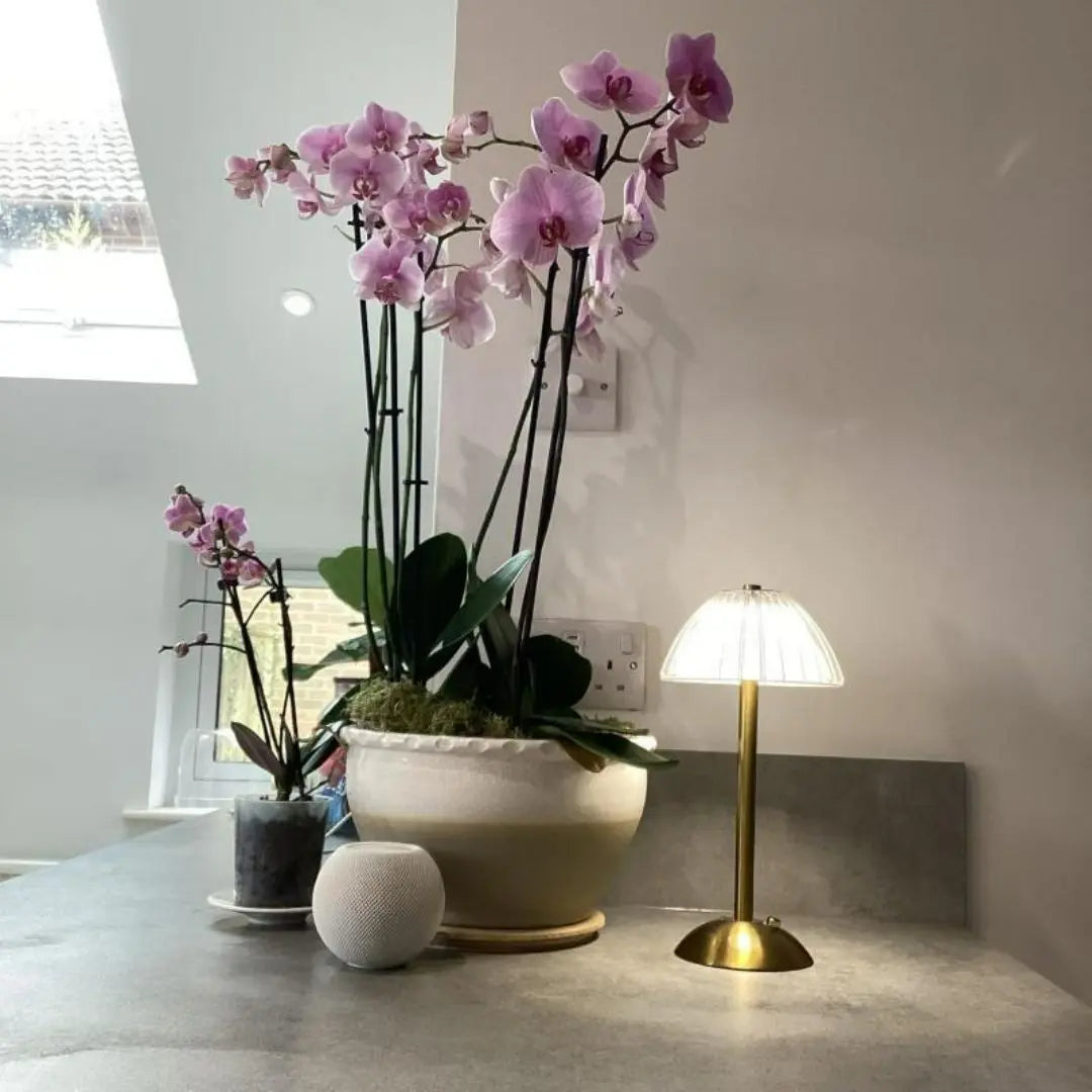 Gold LED Desk Lamp - Portable Touch-Control Lighting with Dimmable Glow