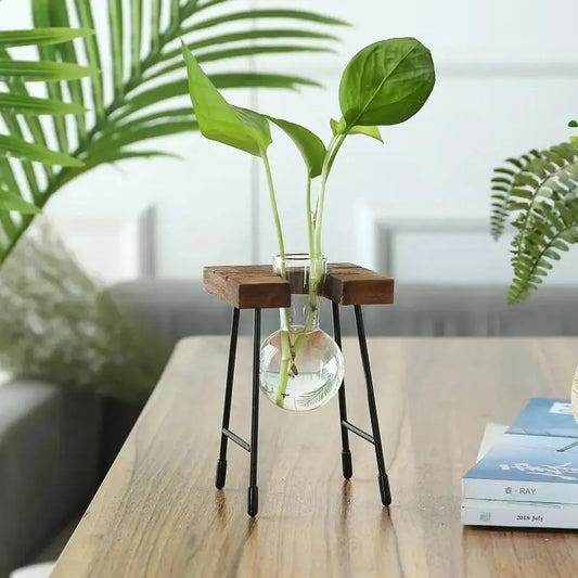 Modern Glass Propagation Vase Set with Wooden Stand