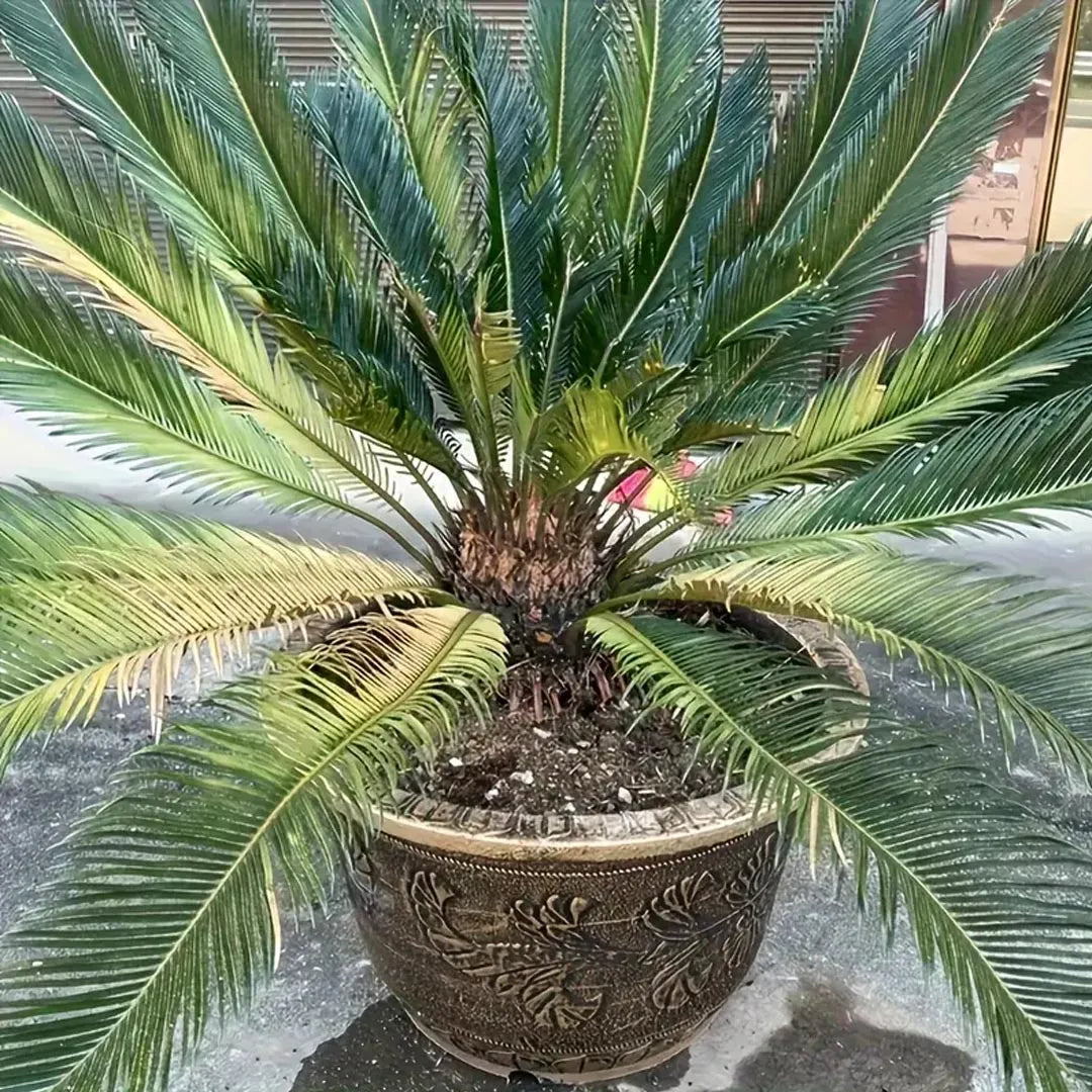 Bronze Resin Plant Pot - Thickened Round Flower Planter