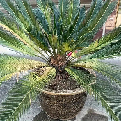 Bronze Resin Plant Pot - Thickened Round Flower Planter