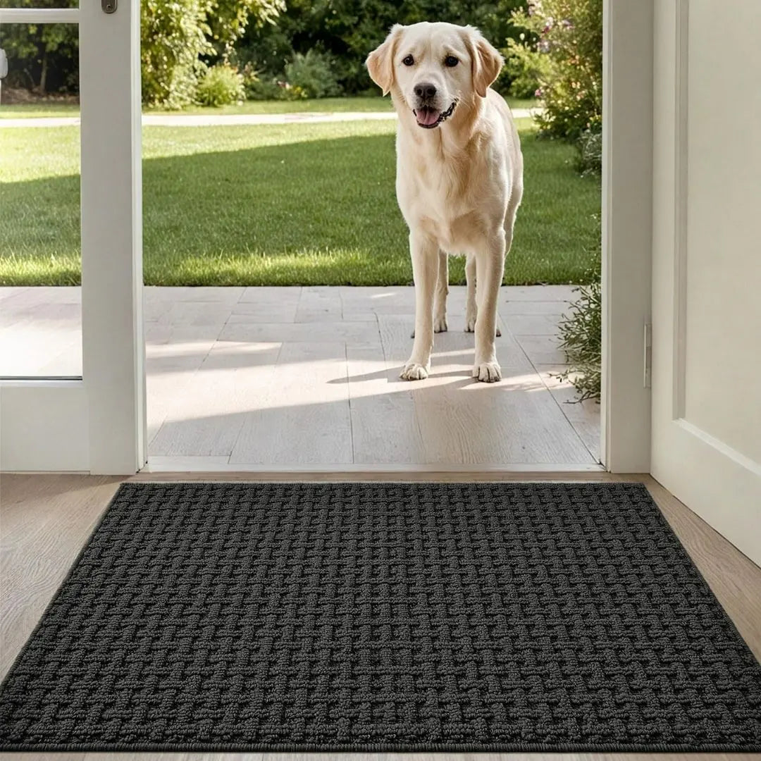 Brivio Dirt Trapper Indoor Door Mat - Non-Slip Absorbent Entrance Rug
