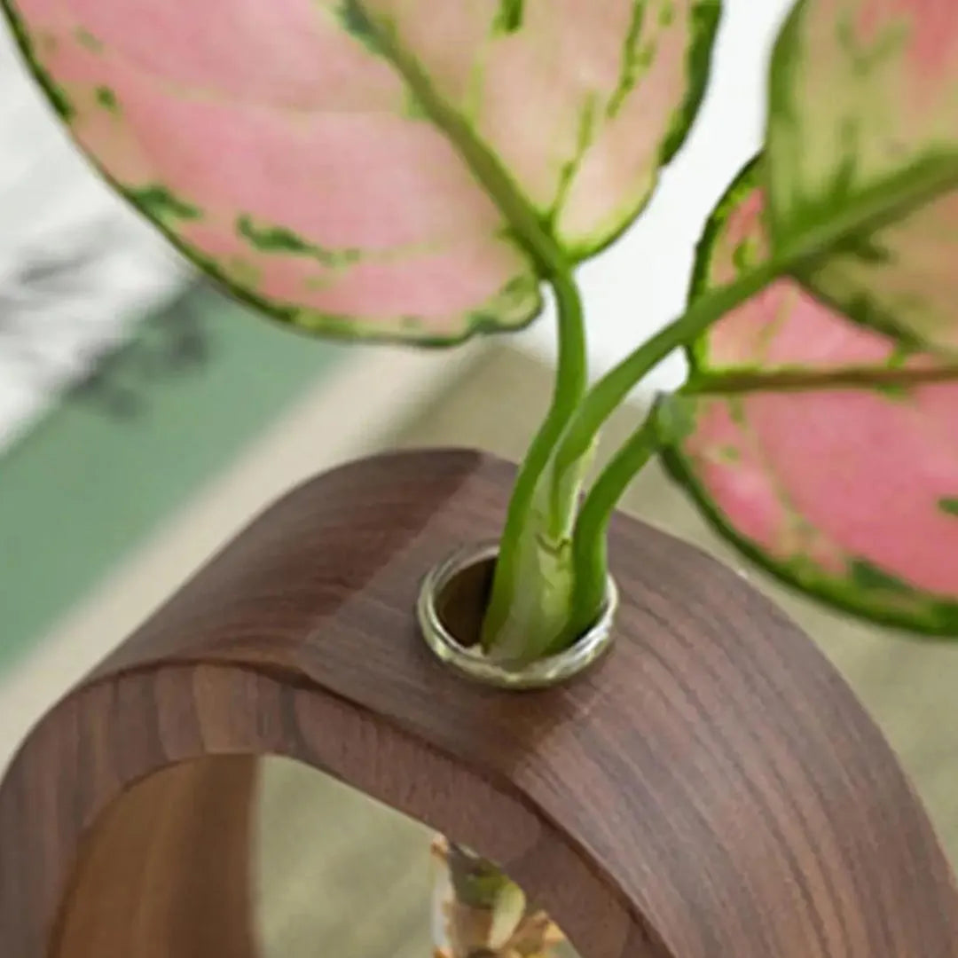 Hydroponic Test Tube Vase with Wooden Stand