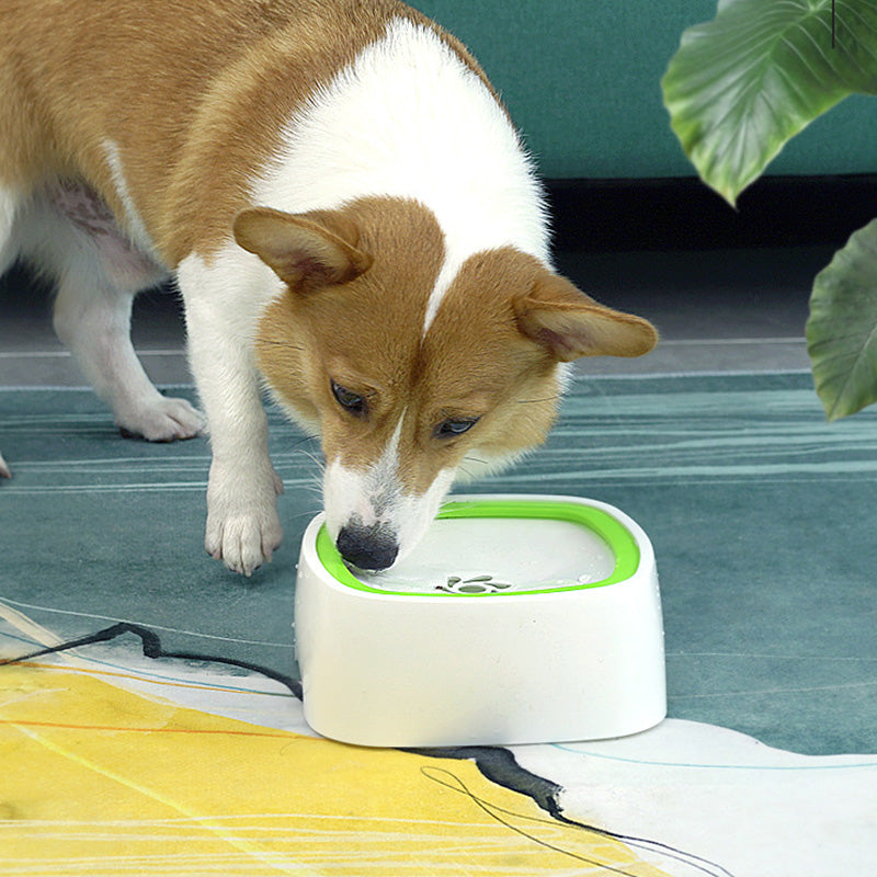 No-Spill Water Bowl