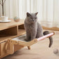 Cat Hammock for Window / Bed
